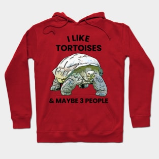 I Like Tortoises and Maybe 3 People Hoodie